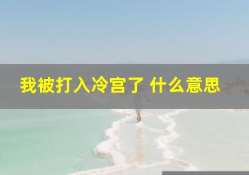 我被打入冷宫了 什么意思